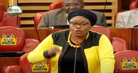 MP Stirs Debate Over Party Colors Worn in Parliament.webp