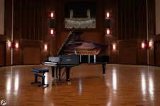 VSL Streamlines Fazioli F308 Piano Library.webp