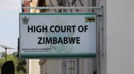 RioZim faces serious fraud claims as workers demand action.webp