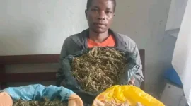 Two arrested in Balaka for possession of cannabis without license.webp