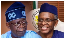 Akindele Says Tinubu is Now a Problem for El-Rufai Family.webp