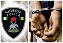 Police Arrest Two Suspects, Seize 51 Bags of Indian Hemp in Ondo.webp