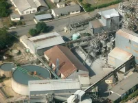 RioZim faces fraud allegations as workers seek corporate rescue.webp