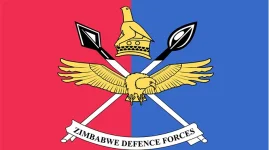 Zimbabwe National Army and Air Force mark instructor graduation.webp