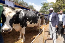 President Ruto attends 10th Annual Dairy Farmers Field Day in Meru.webp