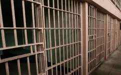 Seven Chinese nationals sentenced to one year for cyberterrorism and internet fraud in Nigeria.webp