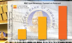 RBZ eyes five tonnes of gold by year-end.webp