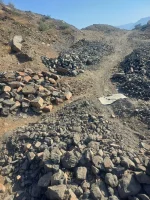Limpopo cops nab three over huge chromite haul.webp
