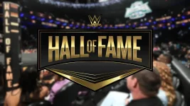 Brie Bella still waiting on WWE reunion call.webp