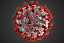Five more die and 36 test positive in latest covid update.webp