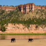Drive your 4x4 from Kruger to Gonarezhou soon.webp
