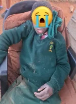 Harare SPCA seizes three dogs after Marlborough pupil mauling.webp