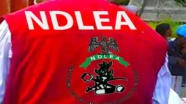 Edo NDLEA nabs AAU student for selling Colorado tramadol in Ekpoma.webp