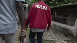 Edo NDLEA seizes N777m worth of cannabis and hard drugs in six months.webp