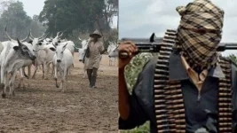 Fulani herdsmen kill four Tiv farmers in Nasarawa, locals flee their homes.webp