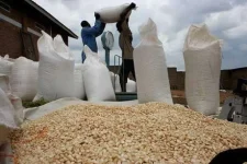 Maize prices on ZMX fall 6.2% on higher supply.webp