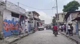 Gangs control Port-au-Prince as transitional council falters.webp