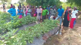Gambian Farmers Tour Songhai Farm, Learn Organic Fertilizer Techniques.webp