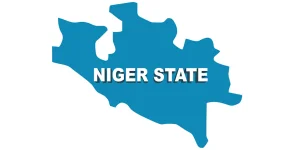 Niger state targets fake fertilizer under new agriculture policy.webp