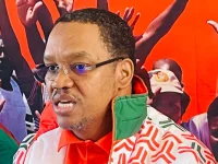 LPM's Swartbooi backs Israel in Iran conflict, calls for cease-fire.webp