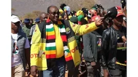 Zanu PF Faces Declining Support in Mashonaland West Amid Low Turnout at Cell Verification.webp