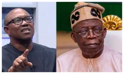 Peter Obi Urges Tinubu to Prioritize Security Over Infrastructure Amid Growing Violence.webp