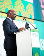 Afreximbank official urges stronger institutions for Africa's sustainable future.webp