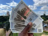 Business leaders urge Zimbabwe to address volatile ZiG currency and mounting debt to restore ...webp