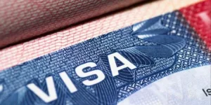 New US visa rules require Zimbabwean students to make their social media public for vetting.webp