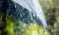 Light to Moderate Rain Expected Across Bangladesh in Next 24 Hours.webp