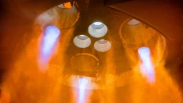 SpaceX's Starship Upper Stage Ship Damaged After Test Explosion.webp