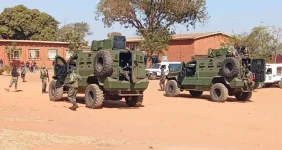 Kondwani Kachamba Criticizes Malawi Defence Force for Failing to Protect Protesters.webp
