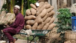 Tinubu Signs Four Finance Bills to Restructure Tax System and Ease Burden.webp