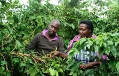 Uganda Details Eight High-Value Agriculture Investment Opportunities.webp