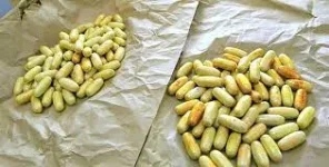 Tanzanian Government Seizes 4.9M Kg of Illicit Drugs, Expands Rehab Centres.webp