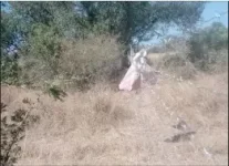 Army Official Invades Late Hero Jokonya's Family Farm in Beatrice.webp