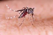 One Dengue Fatality and 383 Hospitalisations in Last 24 Hours, Cases Reach 9,867.webp