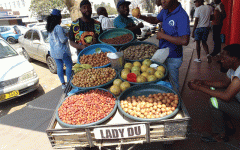 Climate Change and Human Pressure Threaten Zimbabwe's Wild Fruit Trees.gif