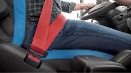 Private bus owners appeal for a grace period on the driver seat belt mandate.webp