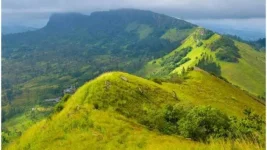 Army and police rescue eight youths stranded on the Hantana mountains in fog.webp