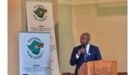 Zimbabwe to reform blood services, guarantee free transfusions in hospitals.webp