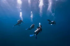 UTHM Lecturer Found Safe After Being Swept by Current During Solo Dive Incident.webp