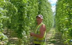 Fifth Generation Hop Farmer Killed by Falling Tree During Wai-iti Flood Cleanup.webp