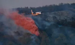 Southern Europe Confronts Intensifying Heatwave and Widespread Wildfires.webp