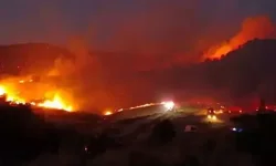Izmir forest fire threatens homes and industrial zones in high winds.webp