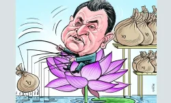 Ex-Bangladesh Minister Lotus Kamal Accused of Massive Corruption and Embezzlement.webp