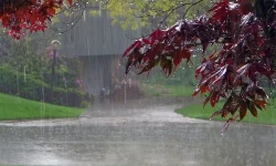 Bangladesh Meteorological Department Forecasts Rain and Thunder Showers Across the Country.webp