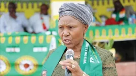 Zanu PF Faces Internal Strife Over Delayed DCC Elections.webp