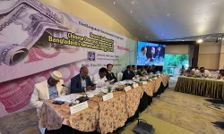 Bangladesh Risks Losing Chinese FDI in Renewable Energy Sector.webp