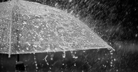 Bangladesh Forecasts Rain and Thunder Showers Across All Divisions.webp